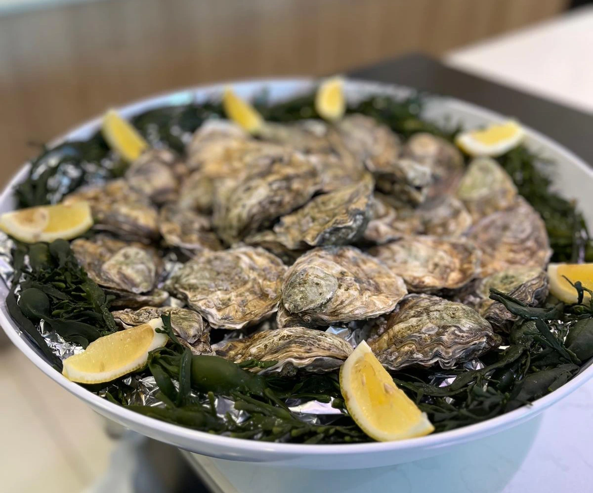 Oesters Vanzegbroeck