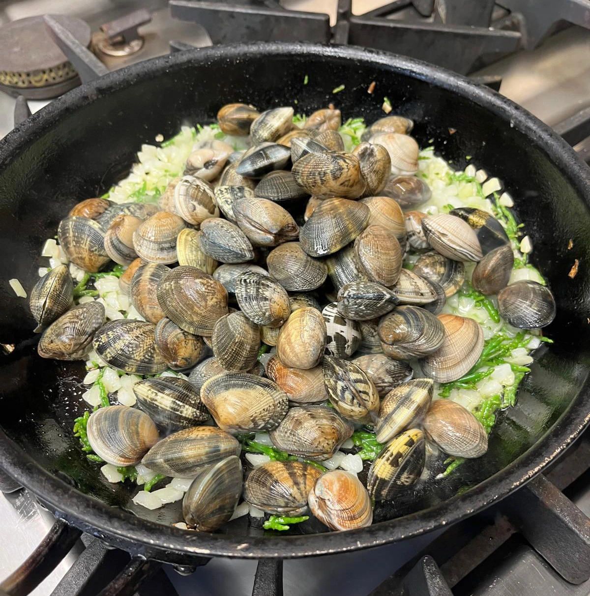 Vongolé Vanzegbroeck